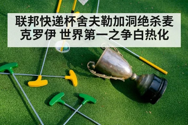 联邦快递杯舍夫勒加洞绝杀麦克罗伊 世界第一之争白热化